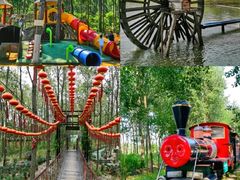 -合肥滨湖国家森林公园