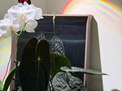 -本無咖啡·BeanWood Coffee