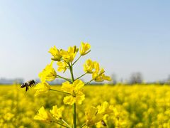 -汉长安城未央宫国家考古遗址公园