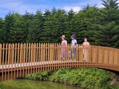 -迪茵湖田家舍生态农场