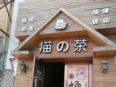 -猫的茶·猫咖