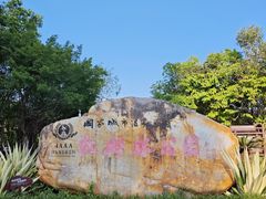 -大亚湾红树林城市湿地公园