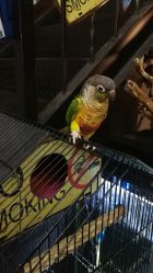 -日月刺青工作室·高端纹身