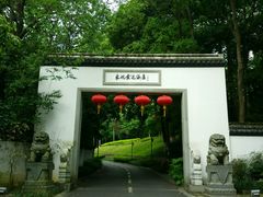 -东航云逸酒店(九溪烟树店)