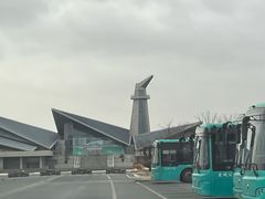 -盐城丹顶鹤湿地生态旅游区