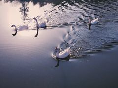 -西安汉城湖景区
