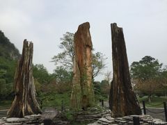 -金钉子远古世界景区