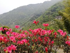 -东白山