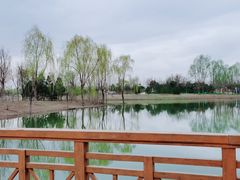 -东郊湿地公园