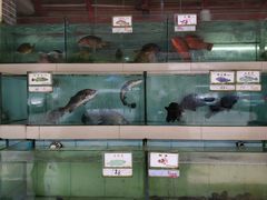 -海上驿站渔家菜馆