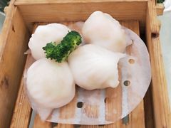 -嘉禧大酒楼(康城广场店)