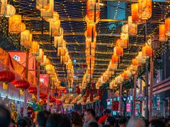 -越秀西湖花市(广州城市广场花卉店)