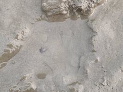 -奉贤海滩