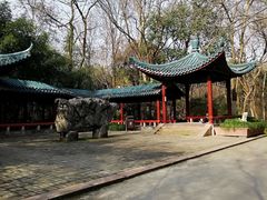 -赭山公园