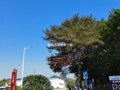 -长洲岛