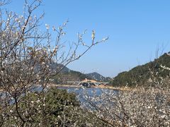 -广州市流溪河国家森林公园