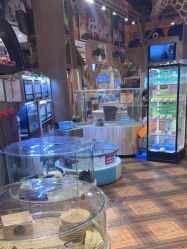 -卡通尼·Safari非洲探索乐园·生日会(金桥国际商业广场店)