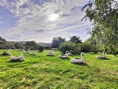 -哈尔滨北方森林动物园