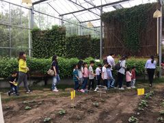 -上海多利农业发展有限公司