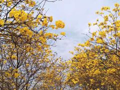 -松山湖风景区松湖烟雨
