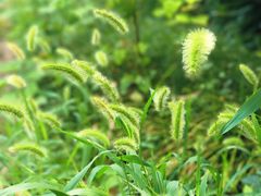 -宝界山林公园
