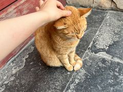 -龙华寺