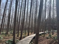 -上海怡沁园度假酒店