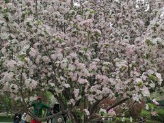 -元大都城垣遗址公园