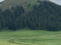 -新疆那拉提国家旅游度假区