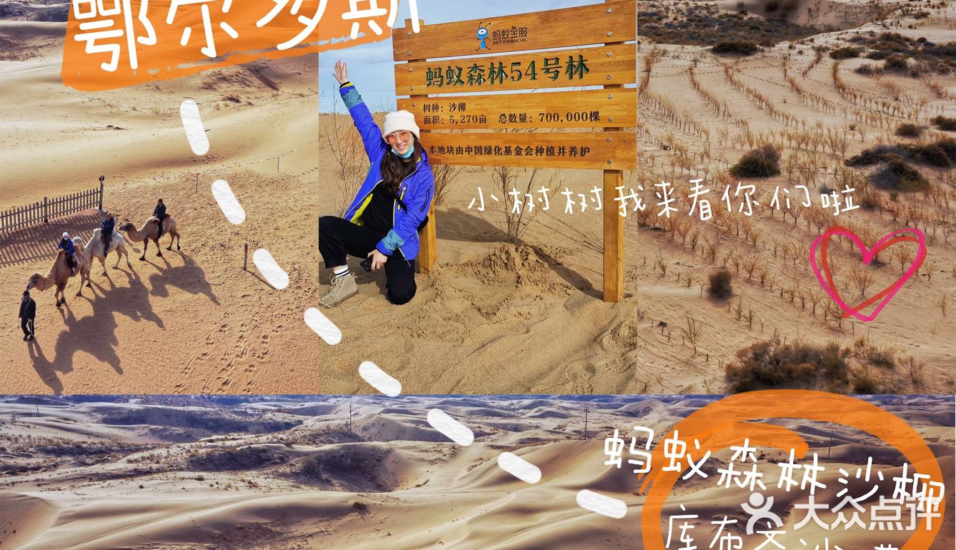 蚂蚁森林小树苗我来啦[调皮]