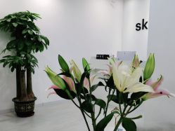 点击看大图 -SKIN79皮肤管理中心