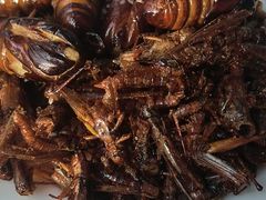 -万顺啤酒屋(皇寺路店)