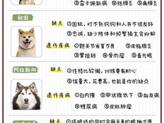 -FAELING PETS美天灵宠物(富力广场店)