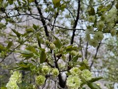 -白塘生态植物园