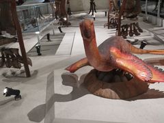 -国家自然博物馆