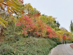 -南翠屏公园