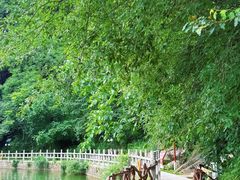 -秦岭终南山世界地质公园翠华山景区
