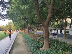 -复旦大学光华楼