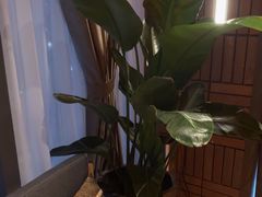 -泰合玺·精油疗愈SPA(狮山天街生活广场店)