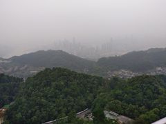 -大金鹰园