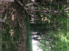 -丰台花园