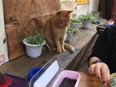 -老宅原住民沙茶面精品小吃(龙头路店)