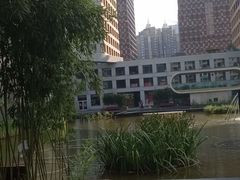 -蔓兰家的四季S0餐厅·融合菜(当代MOMA店)