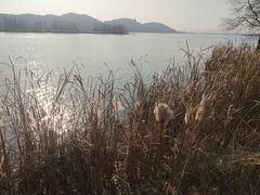 -东湖落雁景区