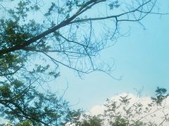 -雅鲁激流探险漂流