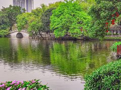 -荔湾湖公园