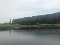 -白洋淀景区