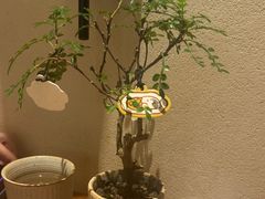 -CURRY YA 熟成咖哩專門店(深圳湾万象城店)