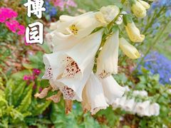 -深圳湾公园(南山区)