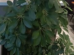 -纪林菜馆·博山菜老字号(华光路店)